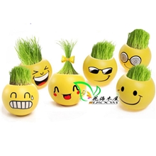 工厂直销小盆栽迷你炫酷表情植物DIY创意地摊礼品长草娃娃