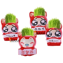 阿狸草娃娃义乌长草植物厂家直销陶瓷草头迷你盆栽
