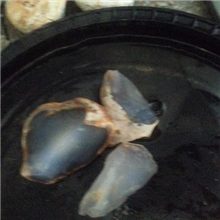 批发蓝玉髓玉石原料土耳其蓝玉髓玉石玉器批发