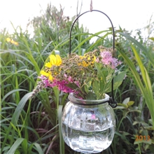 可悬挂透明玻璃花瓶工艺礼品水培植物南瓜玻璃挂瓶蜡烛烛台