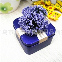 紫色正方个性喜糖铁盒DIY婚庆喜糖盒欧式风情喜糖包装