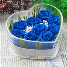 9朵保鲜玫瑰花蓝色妖姬创意节日礼品生日礼物婚庆礼物批发