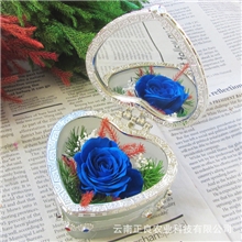 云南保鲜花2013最新创意节日礼品七夕情人节礼物玫瑰化妆镜批发