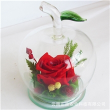 云南保鲜花永生花圣诞礼品纯手工工艺礼品圣诞带底座发光苹果