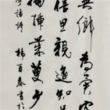 【张氏装裱】书法/字画书法*书法水写布书法字帖杨再春书法作品