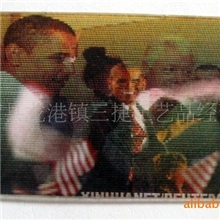 供应三维人物画，PP立体画，3D画，三维画制作