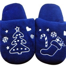 宝洁赠品护舒宝赠品毛拖鞋（蓝色）超低价销售一家三口都能用