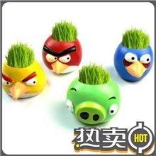新奇特产品迷你植物草娃娃批发系列愤怒小鸟