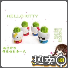 可订做各种长草娃娃系列植物盆栽