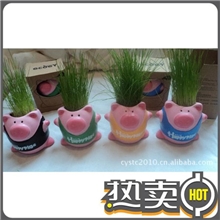 批发盆栽新奇特园艺快乐小猪长草娃娃系列