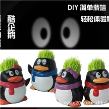 新奇特玩具草头娃娃魔草种植小盆栽批发企鹅