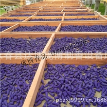 香紫色塔香塔香粒子香锥粒香泰国太想等批发各种塔香