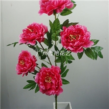 【精品推荐】供应高品质五头小牡丹价格实惠（图）