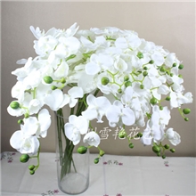 供应单支蝴蝶兰仿真蝴蝶兰手感蝴蝶兰高档蝴蝶兰广州蝴蝶兰