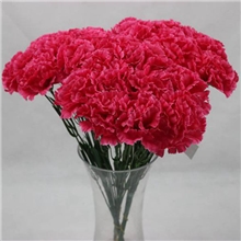 单枝康乃馨仿真花批发田园康乃馨假花装饰花绢花客厅餐桌花特价