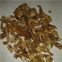 玉竹，统装玉竹，大货，出售大货菟丝子，专业中药材批发