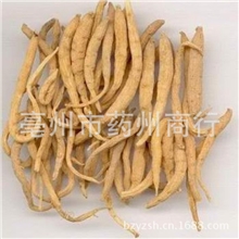 常年供应各种规格中药材太子参产地直销|健脾增强免疫力支持验货