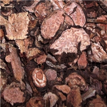 批发供应中药材饮片西藏红景天植物原药材红景天泡酒上品