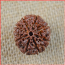 8瓣金刚菩提子八瓣金刚菩提子尼泊尔金刚菩提子最大直径2.6CM