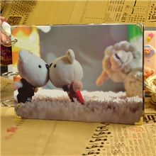 相册批发韩版10寸相册批发A8009对对熊铜版纸30内页相册批发