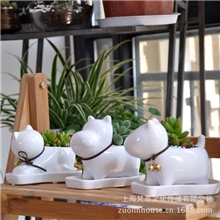 多肉花盆批发小狗小猫卡通陶瓷花盆/ZAKKA迷你创意家居花盆