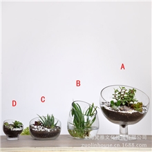 玻璃花瓶水培花盆批发玻璃多肉花盆透明玻璃花瓶/烛台鱼缸