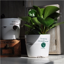 陶瓷工艺花盆批发/ZAKKA复古仿搪瓷做旧陶瓷花盆/多肉植物花盆