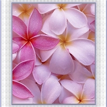 肌理油画家居肌理油画花卉肌理油画防水防晒肌理油画帆布肌理