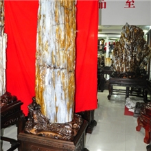 玉树临风木化石树化玉硅化木华泰珠宝收藏推荐精品