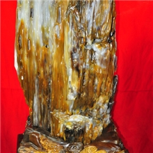 金玉满堂树化玉木化石硅化木华泰珠宝