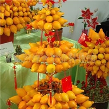 促销买一送一黄金果种子