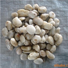 供应优质园林专用2-4CM白色天然抛光鹅卵石