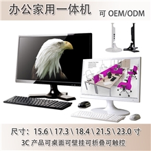 (广州厂家)LED15.6寸一体电脑/超薄双核一体化电脑/可加壁挂