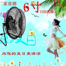 厂家直销批发6寸金属铝叶USB迷尔电脑风扇