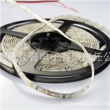 广州低价3528灯条