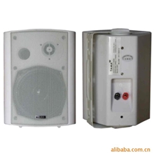 壁挂喇叭壁挂扬声器TA-118(白色)