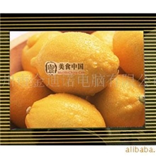 卖场货架宣传器材10寸液晶高清广告机