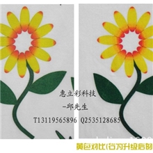 广州服装平板打印机选惠思达质量可靠