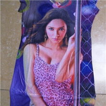 厂家直销数码纺织印花墨水（2010亚运数码印花合作伙伴）