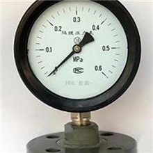 现货供应YTP-100SYTP-75S防强腐全塑隔膜压力表特殊压力表