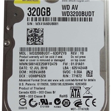 西部数据WD3200BUDT放货2.5寸西数蓝盘320G超薄5400转笔记本硬盘