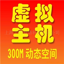 虚拟主机_双线空间_网站空间租用_上海虚拟主机_双线主机