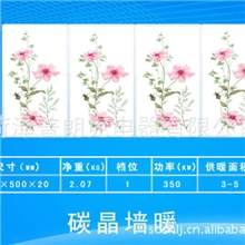 批是供应普朗克牌碳晶墙暖，碳晶取暖器，可贴牌