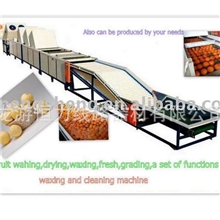 水果清洗打蜡分选机、椪柑清洗打蜡选果机、年桔清洗打蜡分级机2