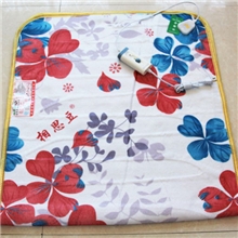 13年普通面料单面花单人电热毯150*70【相思豆】厂家直销特价