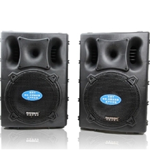 特美声DP233815寸大功率户外乐队舞台音箱婚庆会议广场组合音响