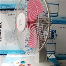 华久FT-40-1型台扇电风扇落地扇批发直径300MM