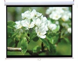 批发投影幕/批发投影幕布/上海支架投影幕/电动幕布