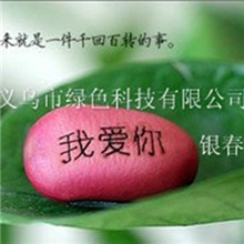 2013热卖新豆魔豆红豆爱情魔豆神奇魔豆种子批发