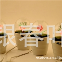 热卖浪漫花火小夜灯插电小夜灯七彩小夜灯创意义乌小夜灯批发